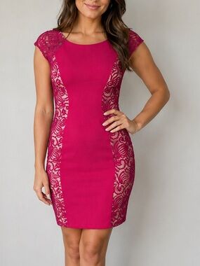 Sakura Fuchsia Lace Panel Bodycon Cocktail Dress Size Large